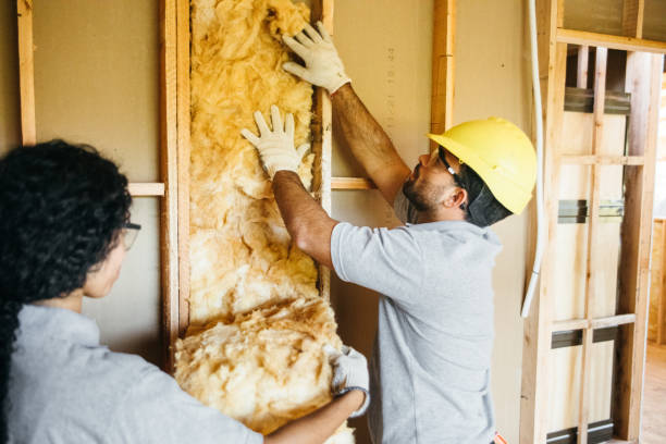 Best Insulation Repair Services  in Falls City, OR