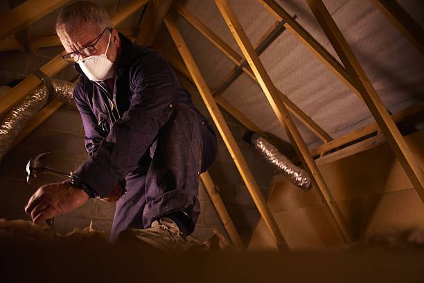Best Attic Insulation Installation  in Falls City, OR
